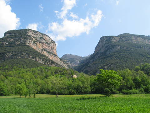 4e662-Montagut---Vall-del-Torrent-del-Toll.JPG
