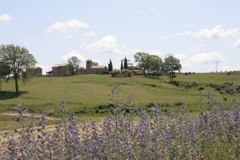 Joanetes