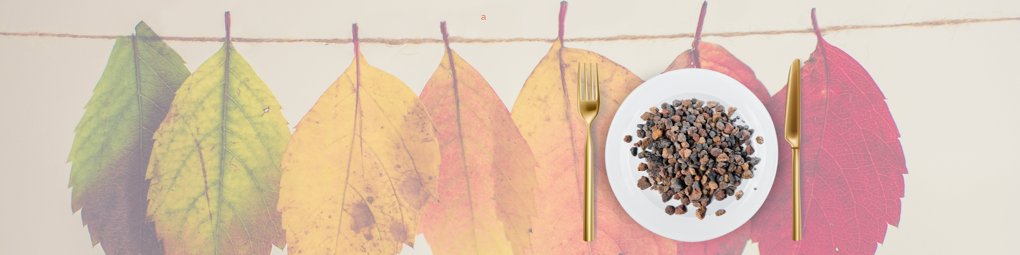 36a Mostra Gastronòmica de la Garrotxa