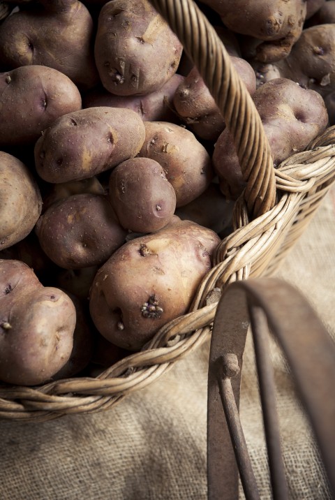 7è Sopar de la Patata Móra