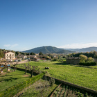 Restaurant Fonda Barris - 09396-habitaicons-fonda-barris-vistes.jpg