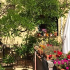 Hotel*** Els Jardins de la Martana - 40dd0-balco_jardins-de-la-martana.jpg