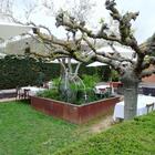 Restaurant Oliveras - exterior2_oliveras.jpg