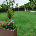 Restaurant Oliveras - exterior_oliveras.jpg