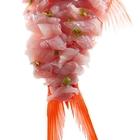 Malespina Barra Japonesa - malespina3.jpg