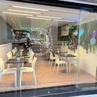 Riconcito Don Pedro Ruddy-Leo SL - riconcito-de-pedro.jpeg